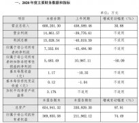 九号公司2020年净利润7332.64万元 扭亏为盈