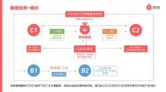 转转集团：2020年集团收入增长229% 验机单量同比增长219.04%