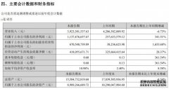 完美世界上半年营收39亿元 归母净利润11.37亿